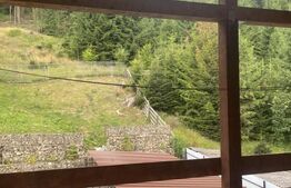 Casă de vânzare în Voroneț, 250 mp