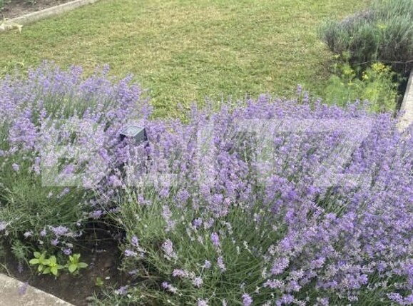 Casa de vânzare 7 camere Exterior Vest - 174017CV | BLITZ Suceava | Poza22