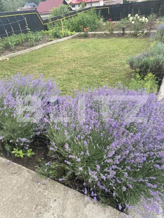 Casa de vânzare 7 camere Exterior Vest - 174017CV | BLITZ Suceava | Poza22