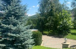 Casa individuala, 1600 mp teren, mobilata si utilata de lux, zona Burdujeni