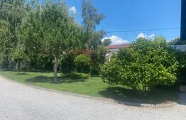 Casa individuala, 1600 mp teren, mobilata si utilata de lux, zona Burdujeni