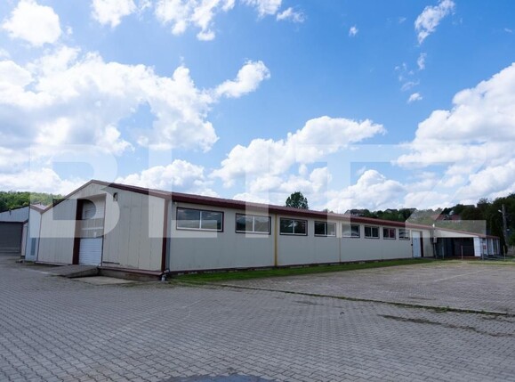 Spațiu industrial de închiriat Periferie - 174435SII | BLITZ Suceava | Poza6