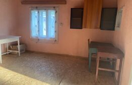Ocazie unica, duplex - casa bătrânească in Frasin 