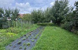 Exclusivitate!! Casa cu 4 camere, teren 850mp, Horodnic de Sus