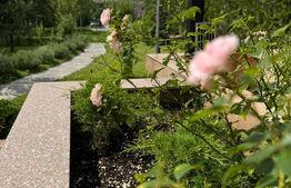 Casa individuala cu 4 camere, 515 mp teren, curte amenajata, zona Lisaura