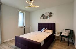 Casa individuala cu 4 camere, 515 mp teren, curte amenajata, zona Lisaura