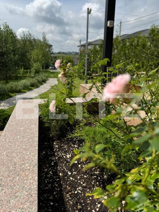 Casa de vânzare 4 camere Periferie - 174809CV | BLITZ Suceava | Poza23