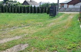 Casa mobilata- utilata, 300 mp, zona Zvoristea