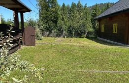 Casa de vacanta , zona Soarecului , Marginea