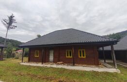 Casa de vacanta , zona Soarecului , Marginea