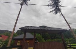 Casa de vacanta , zona Soarecului , Marginea