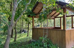 Casa de vacanta , zona Soarecului , Marginea