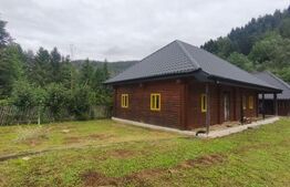 Casa de vacanta , zona Soarecului , Marginea