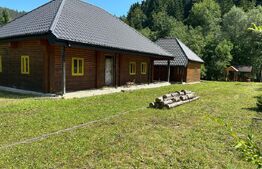 Casa de vacanta , zona Soarecului , Marginea