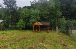 Casa de vacanta , zona Soarecului , Marginea