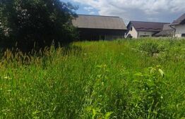 Teren intravilan, 10000mp, zona Maneuti, Radauti