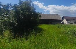 Teren intravilan, 10000mp, zona Maneuti, Radauti