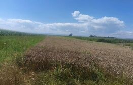 Teren intravilan, 10000mp, zona Maneuti, Radauti