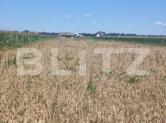 Teren de vânzare Maneuti - 174991TV | BLITZ Suceava | Poza6