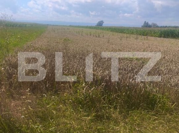 Teren de vânzare Maneuti - 174991TV | BLITZ Suceava | Poza1