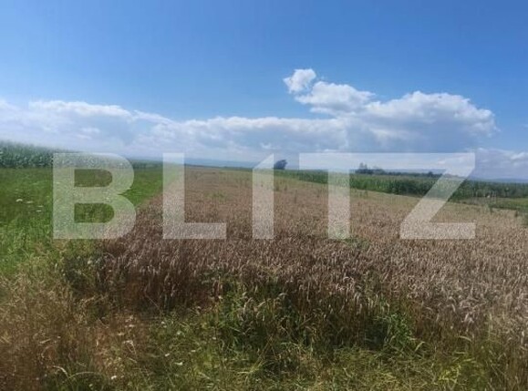 Teren de vânzare Maneuti - 174991TV | BLITZ Suceava | Poza5