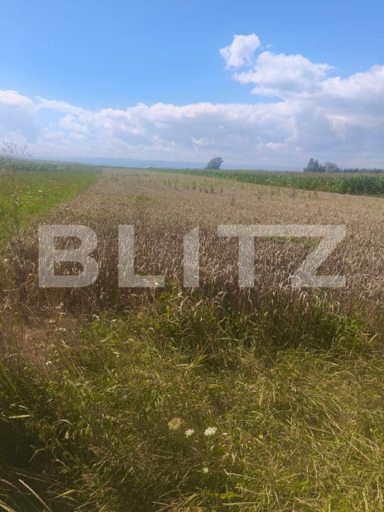 Teren de vânzare Maneuti - 174991TV | BLITZ Suceava | Poza2