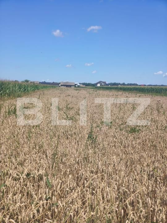 Teren de vânzare Maneuti - 174991TV | BLITZ Suceava | Poza6