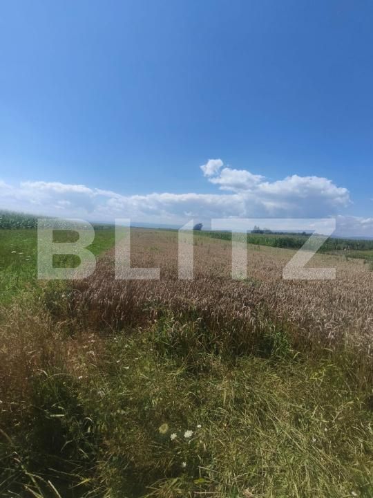 Teren de vânzare Maneuti - 174991TV | BLITZ Suceava | Poza5