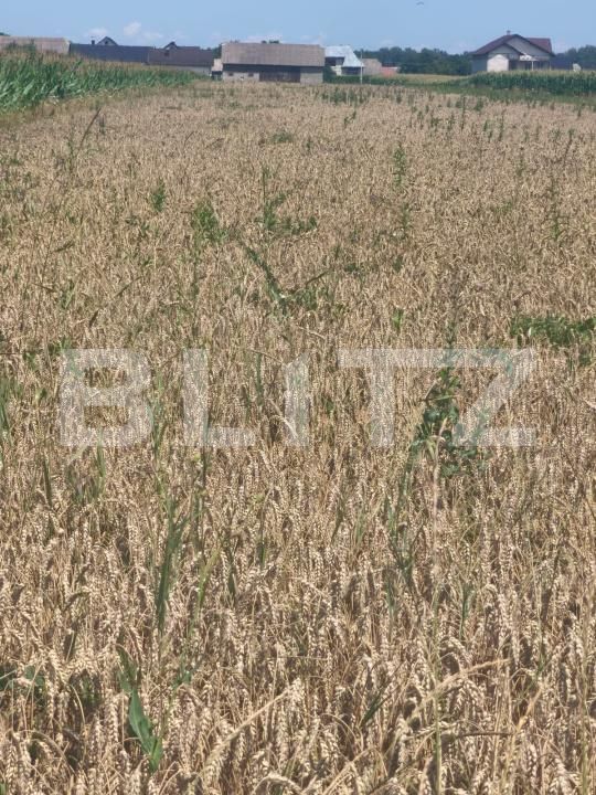 Teren de vânzare Maneuti - 174991TV | BLITZ Suceava | Poza3