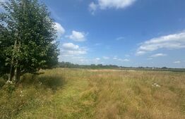 Teren intravilan, 5.041 mp, Horodnic de Jos