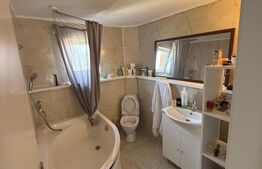 Casa/Vila multifunctioanala  285 mp utili, 800mp teren, zona Sf. Ilie