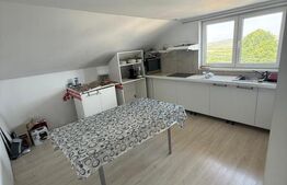 Casa/Vila multifunctioanala  285 mp utili, 800mp teren, zona Sf. Ilie