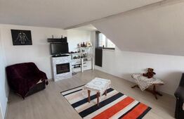 Casa/Vila multifunctioanala  285 mp utili, 800mp teren, zona Sf. Ilie