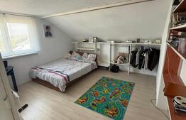 Casa/Vila multifunctioanala  285 mp utili, 800mp teren, zona Sf. Ilie