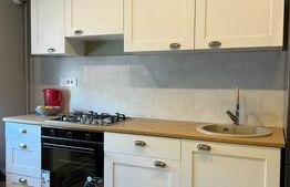 Apartament renovat, 2 camere, 50 mp, geam la baie, zona George Enescu