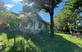 Casă + teren intravilan (5.916mp) -Fântâna Mare