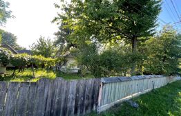 Casă + teren intravilan (5.916mp) -Fântâna Mare