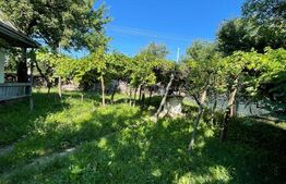 Casă + teren intravilan (5.916mp) -Fântâna Mare