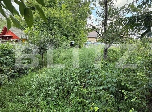 Casa de vânzare 5 camere Itcani - 175201CV | BLITZ Suceava | Poza7