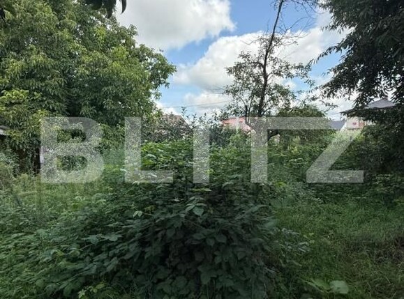 Casa de vânzare 5 camere Itcani - 175201CV | BLITZ Suceava | Poza9