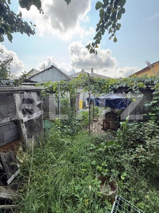 Casa de vânzare 5 camere Itcani - 175201CV | BLITZ Suceava | Poza8