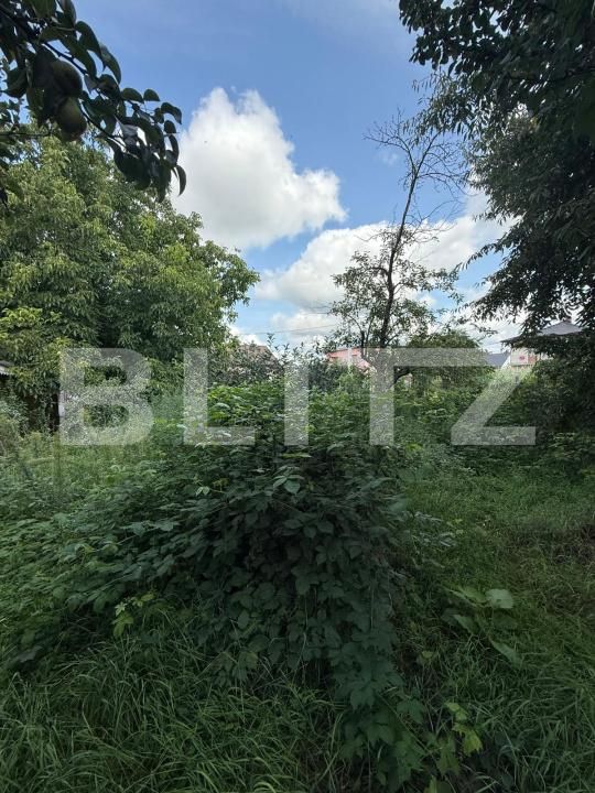 Casa de vânzare 5 camere Itcani - 175201CV | BLITZ Suceava | Poza9