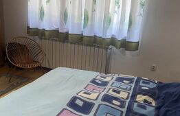 Pensiune din lemn funcțională  + 7000 mp teren intravilan, Vatra Dornei