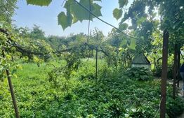 Casa individuala, 800 mp teren, Siret