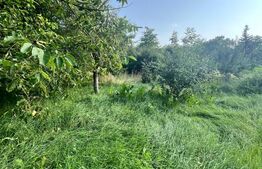 Casa individuala, 800 mp teren, Siret