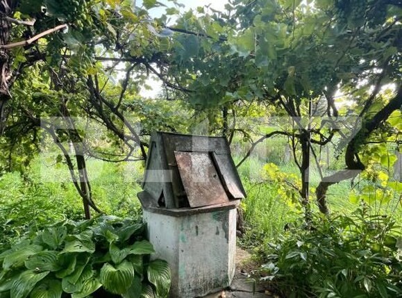 Casa de vânzare 3 camere Siret - 175312CV | BLITZ Suceava | Poza11