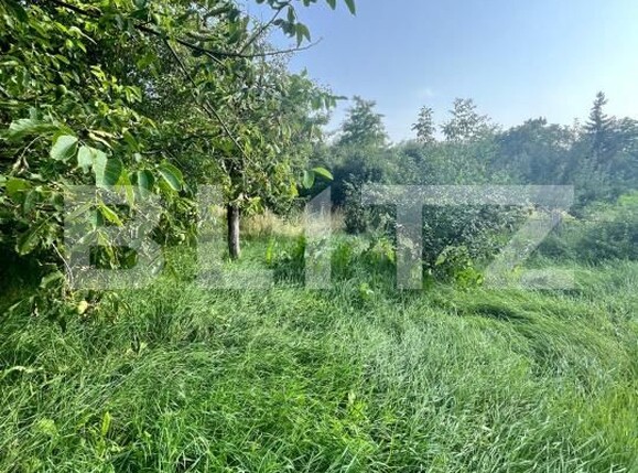 Casa de vânzare 3 camere Siret - 175312CV | BLITZ Suceava | Poza14