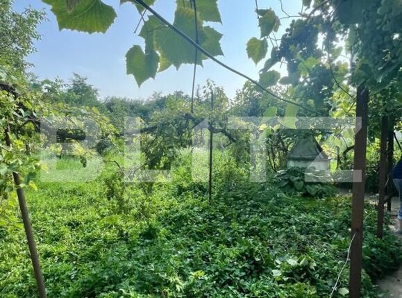 Casa de vânzare 3 camere Siret - 175312CV | BLITZ Suceava | Poza15