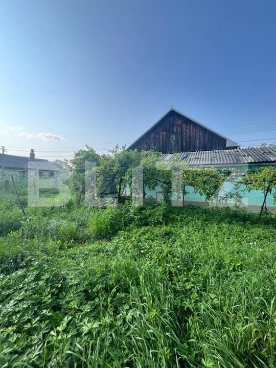 Casa de vânzare 3 camere Siret - 175312CV | BLITZ Suceava | Poza13