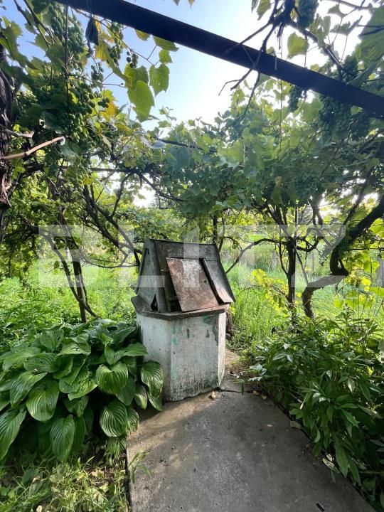 Casa de vânzare 3 camere Siret - 175312CV | BLITZ Suceava | Poza6